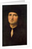 Portrait of a Young Man, between 1495 and 1500. by Perugino