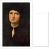 Portrait of a Young Man, between 1495 and 1500. by Perugino