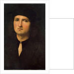 Portrait of a Young Man, between 1495 and 1500. by Perugino
