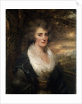 Portrait of Mrs Elinor Bethune, 1790s. by Henry Raeburn