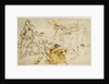 Venus, putti and a wild Boar, c.1520-1540 by Perino del Vaga