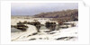 Early Snow, 1883. by Yefim Yefimovich Volkov