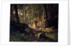 A Walk in a Forest, 1869 by Ivan Shishkin