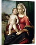 Virgin and Child, between 1496 and 1499 by Giovanni Battista Cima da Conegliano
