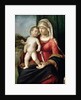 Virgin and Child, between 1496 and 1499 by Giovanni Battista Cima da Conegliano