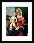 Virgin and Child, between 1496 and 1499 by Giovanni Battista Cima da Conegliano