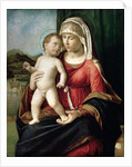 Virgin and Child, between 1496 and 1499 by Giovanni Battista Cima da Conegliano