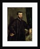 Portrait of the physician Andreas Vesalius by Steven van Calcar