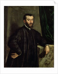 Portrait of the physician Andreas Vesalius by Steven van Calcar