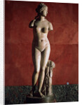 The Venus Tauride or Venus of Tauris, 2nd century AD by Unknown