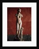 The Venus Tauride or Venus of Tauris, 2nd century AD by Unknown