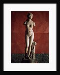 The Venus Tauride or Venus of Tauris, 2nd century AD by Unknown
