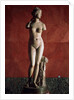 The Venus Tauride or Venus of Tauris, 2nd century AD by Unknown