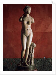 The Venus Tauride or Venus of Tauris, 2nd century AD by Unknown
