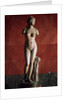 The Venus Tauride or Venus of Tauris, 2nd century AD by Unknown