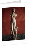 The Venus Tauride or Venus of Tauris, 2nd century AD by Unknown