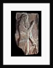 Priest with a branch of pomergranate tree, 722-705 BC by Unknown