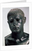 Portrait of a Roman (Sextus Pompey), second half of 1st century BC by Unknown