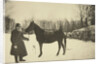 Russian author Leo Tolstoy with a horse, Yasnaya Polyana, near Tula, Russia, 1905. by Sophia Tolstaya