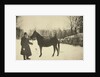 Russian author Leo Tolstoy with a horse, Yasnaya Polyana, near Tula, Russia, 1905. by Sophia Tolstaya