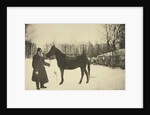 Russian author Leo Tolstoy with a horse, Yasnaya Polyana, near Tula, Russia, 1905. by Sophia Tolstaya