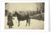 Russian author Leo Tolstoy with a horse, Yasnaya Polyana, near Tula, Russia, 1905. by Sophia Tolstaya