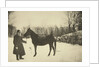 Russian author Leo Tolstoy with a horse, Yasnaya Polyana, near Tula, Russia, 1905. by Sophia Tolstaya