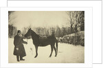 Russian author Leo Tolstoy with a horse, Yasnaya Polyana, near Tula, Russia, 1905. by Sophia Tolstaya