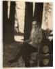 Russian author Leo Tolstoy, Yasnaya Polyana, near Tula, Russia, 1908 by Sergey Produkin-Gorsky