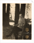 Russian author Leo Tolstoy, Yasnaya Polyana, near Tula, Russia, 1908 by Sergey Produkin-Gorsky