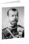 Tsar Nicholas II of Russia, 1914. by Anonymous