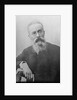 Nikolai Rimsky-Korsakov, Russian composer, 1890s by Anonymous