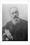 Nikolai Rimsky-Korsakov, Russian composer, 1890s by Anonymous