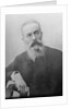 Nikolai Rimsky-Korsakov, Russian composer, 1890s by Anonymous