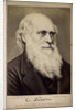 Charles Darwin, British naturalist, c1860s-c1870s by Ernst Hader