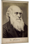 Charles Darwin, British naturalist, c1860s-c1870s by Ernst Hader