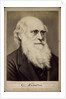 Charles Darwin, British naturalist, c1860s-c1870s by Ernst Hader