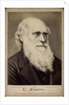 Charles Darwin, British naturalist, c1860s-c1870s by Ernst Hader