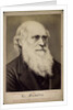 Charles Darwin, British naturalist, c1860s-c1870s by Ernst Hader