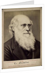 Charles Darwin, British naturalist, c1860s-c1870s by Ernst Hader
