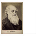 Charles Darwin, British naturalist, c1860s-c1870s by Ernst Hader