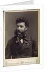 Johann Strauss the Younger, Austrian composer, 19th century by Reichard & Lindner
