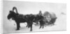 Horse-drawn sledge (kibitka), Siberia, Russia, 1890s by Unknown
