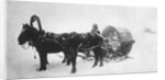 Horse-drawn sledge (kibitka), Siberia, Russia, 1890s by Unknown