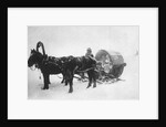Horse-drawn sledge (kibitka), Siberia, Russia, 1890s by Unknown