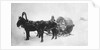 Horse-drawn sledge (kibitka), Siberia, Russia, 1890s by Unknown