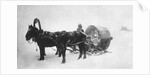 Horse-drawn sledge (kibitka), Siberia, Russia, 1890s by Unknown