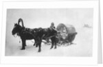 Horse-drawn sledge (kibitka), Siberia, Russia, 1890s by Unknown