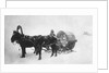 Horse-drawn sledge (kibitka), Siberia, Russia, 1890s by Unknown