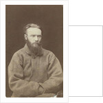 Mikhail Saltykov-Shchedrin, Russian author, 19th century by Unknown